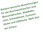 Weitere deutsche Bezeichnungen für das Buschwindröschen sind Wasserhähnchen, Waldhähn-chen, Schneeblume, Kuckucks-blume und Giftblume. Mehr fast am Schluss.