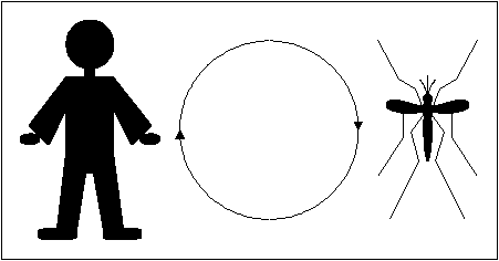 Ansteckungskreislauf der Malariaerreger